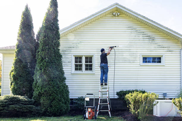 Best Gutter Cleaning  in Black Forest, CO